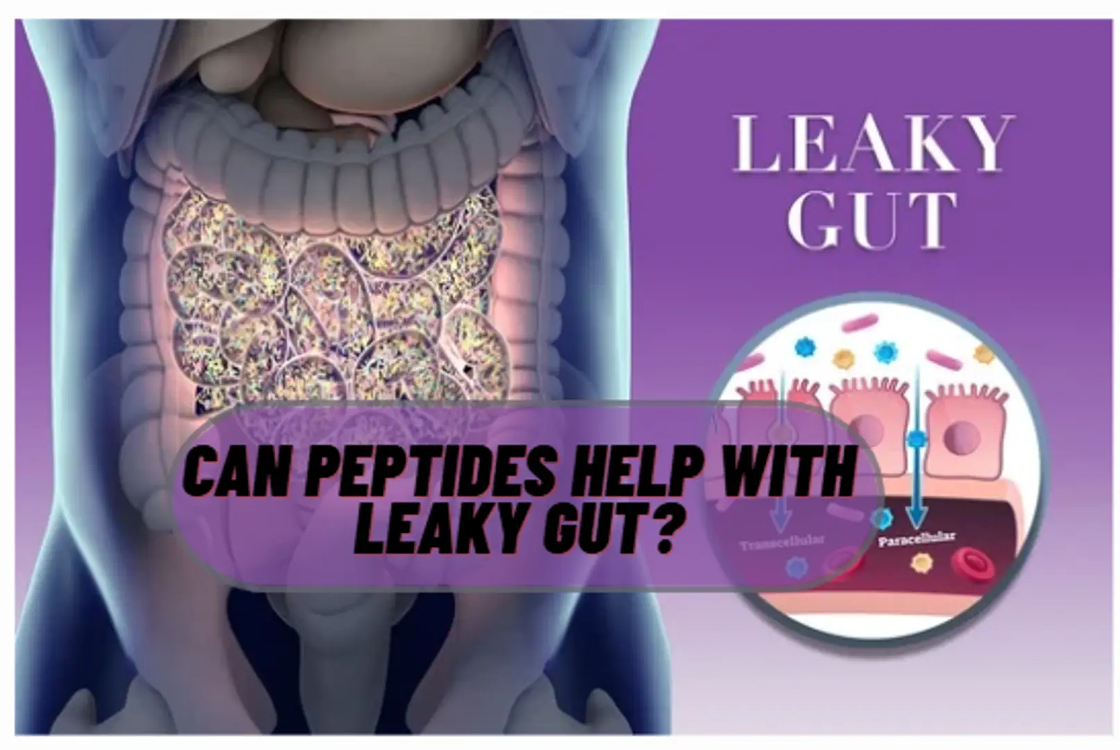 6930f5acd5ff0598f2280f62